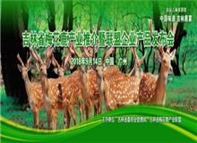 廣州康博會(huì)助力吉林梅花鹿產(chǎn)業(yè)互通"吉粵"市場(chǎng)