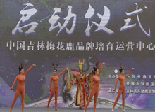 中國(guó)吉林梅花鹿品牌培育運(yùn)營(yíng)中心落戶長(zhǎng)春雙陽(yáng)區(qū)