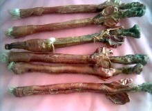 鹿鞭的烹飪方法