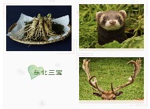 它是人類(lèi)奔跑的“藥”，可食的“寶”