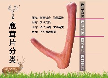 鹿茸的研究永不過時！藥用歷史長遠(yuǎn)，價值極高！