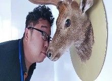 “惡性襲鹿”事件，“嫌疑人”竟是他？！