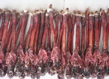 干貨！鹿鞭的鑒別！