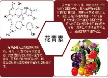 天然“防腐劑”，清除自由基，貌美更年輕！