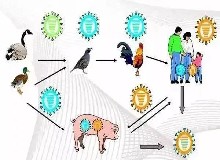 五一小長假外出游玩，注意與動物之間保持距離！