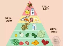 你知道你的器官愛吃什么食物嘛？最愛的食物全在這了！