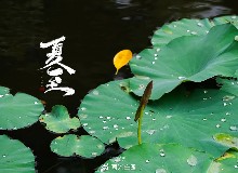 夏至已至，這份“養(yǎng)”生攻略請(qǐng)收好！