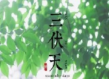 三伏暗藏的“殺機(jī)”，趕緊避開！少往醫(yī)院跑兩趟吧