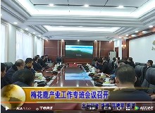 梅花鹿產(chǎn)業(yè)工作專班會議召開